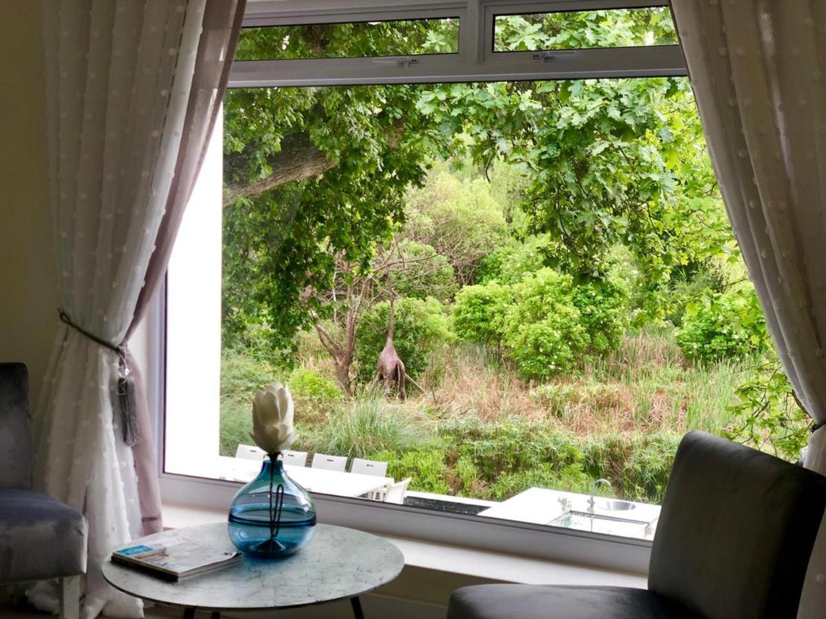 Badgemore Villa Guesthouse Cape Town Ngoại thất bức ảnh